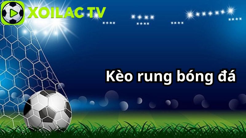 Bí quyết bắt kèo rung chuẩn xác, tăng tỷ lệ thắng Bí quyết bắt kèo rung chuẩn xác, tăng tỷ lệ thắng