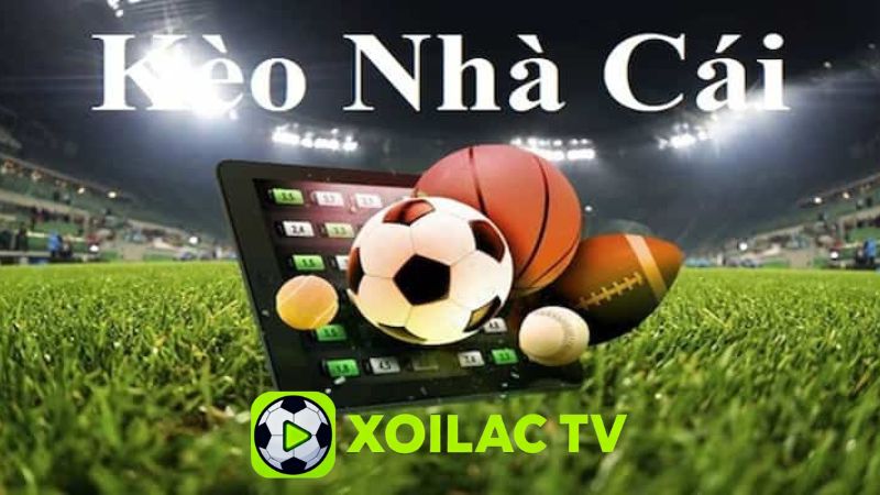 Bí quyết chơi kèo nhà cái hiệu quả và hạn chế rủi ro Bí quyết chơi kèo nhà cái hiệu quả và hạn chế rủi ro