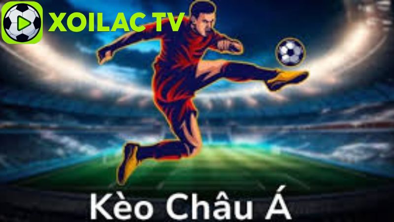 Cách hiểu và đọc tỷ lệ kèo Châu Á một cách chính xác