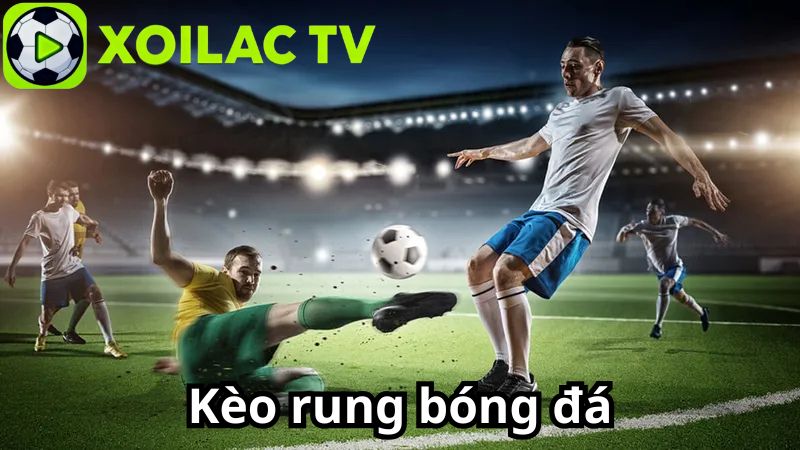 Cách theo dõi và đọc tỷ lệ kèo rung hiệu quả Cách theo dõi và đọc tỷ lệ kèo rung hiệu quả