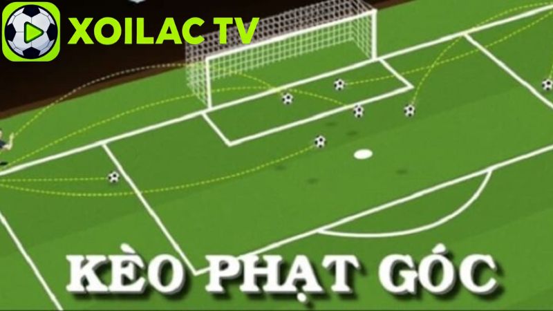 Hướng dẫn cách chơi kèo phạt góc và đọc tỷ lệ cược Hướng dẫn cách chơi kèo phạt góc và đọc tỷ lệ cược