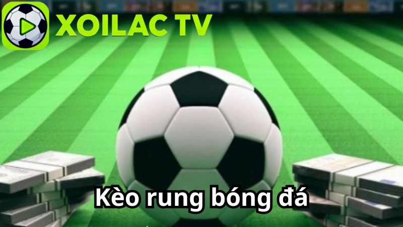 Kèo rung trong cá cược bóng đá là gì? Kèo rung trong cá cược bóng đá là gì?