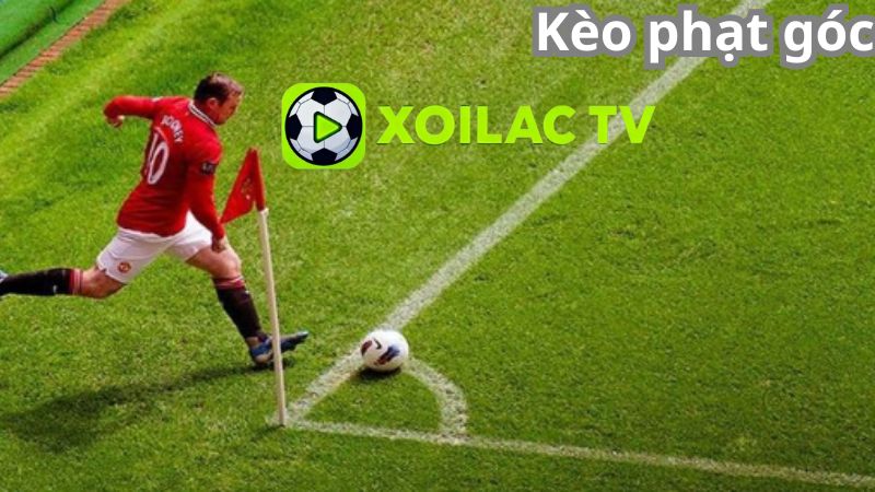 Kinh nghiệm chơi kèo phạt góc từ cao thủ Kinh nghiệm chơi kèo phạt góc từ cao thủ